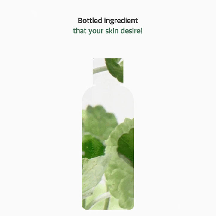 Centella Asiatica Toner 150ml