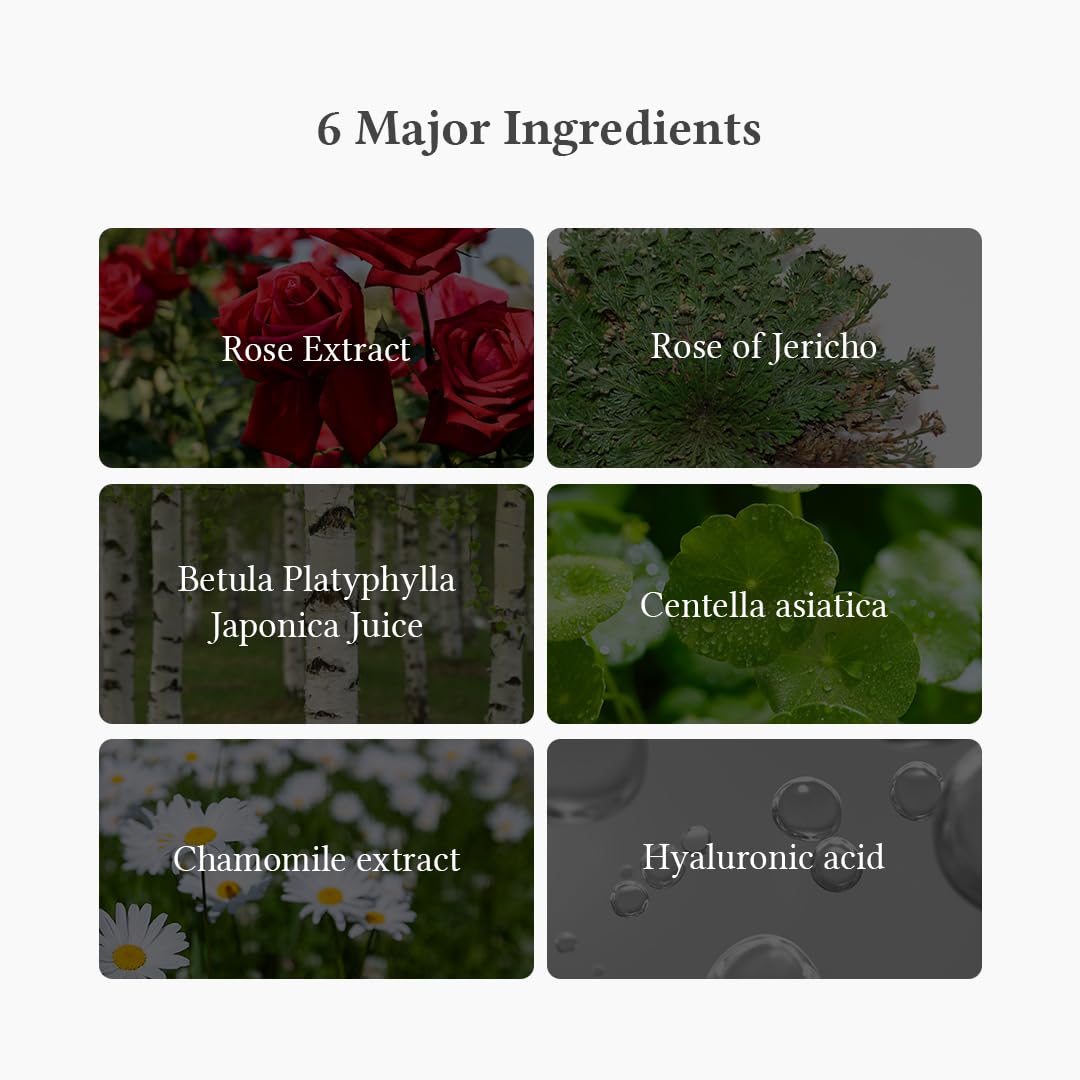 Oasis Soothing Mask 5pks