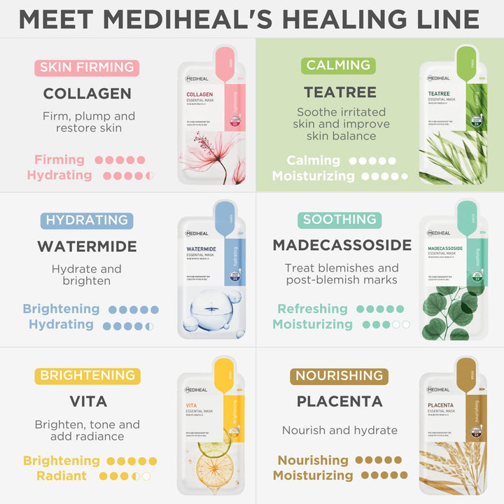 Tea Tree Essential Blemish Control Mask 10EA