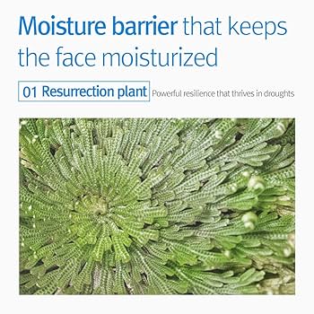 Kids & Baby Cream 400ml