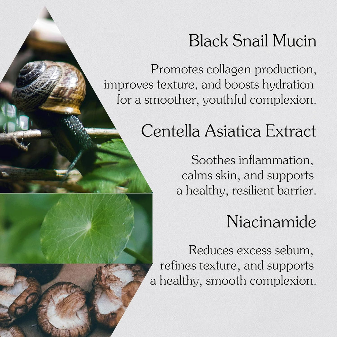 Black Snail All in One Cream 2.53 fl. oz / 75ml