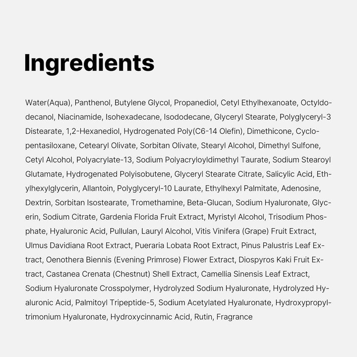 Zero Pore One-Day Cream 1.7 fl.oz / 50ml