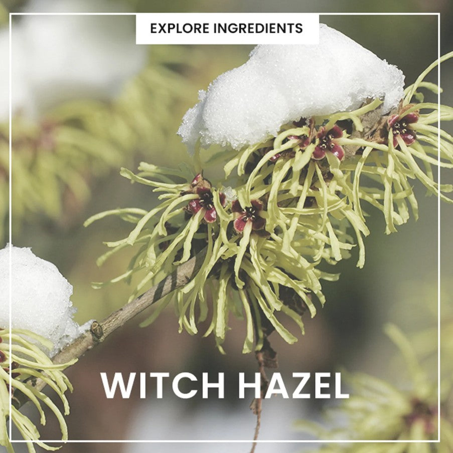 All Clean Green Foam Moisturizing Face Cleanser 150ml / 5.3 oz