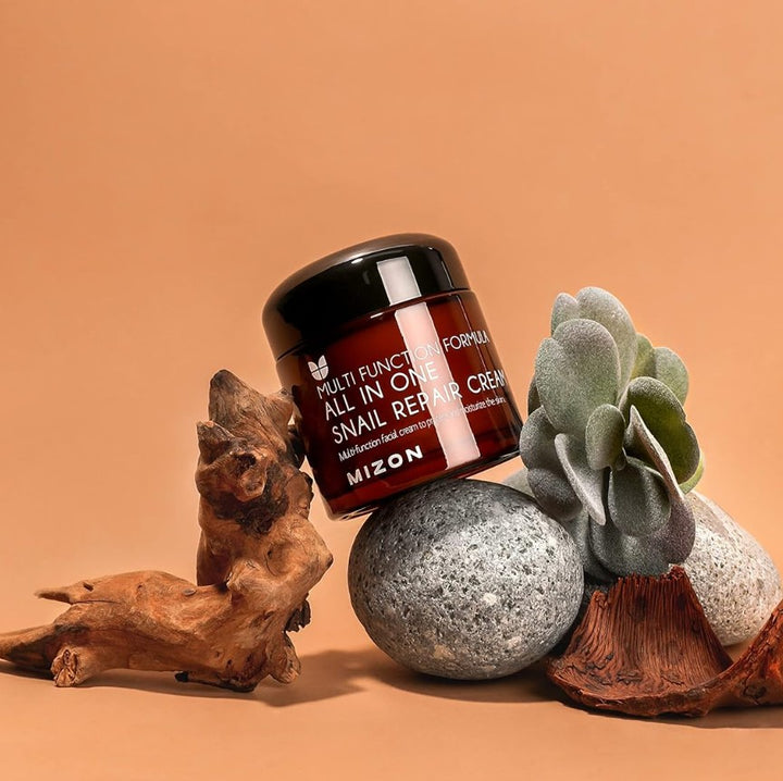 All in One Snail Repair Cream 2.53 fl. oz. / 75ml