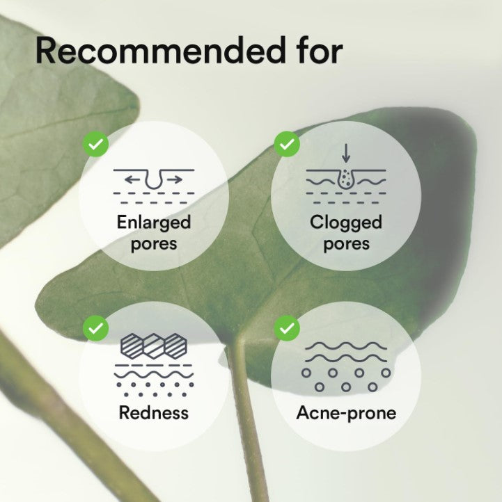 Collagen Gel Mask Heartleaf Jelly 4 Sheets