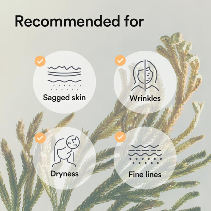 Collagen Gel Jericho Rose Jelly Mask 10 Sheets