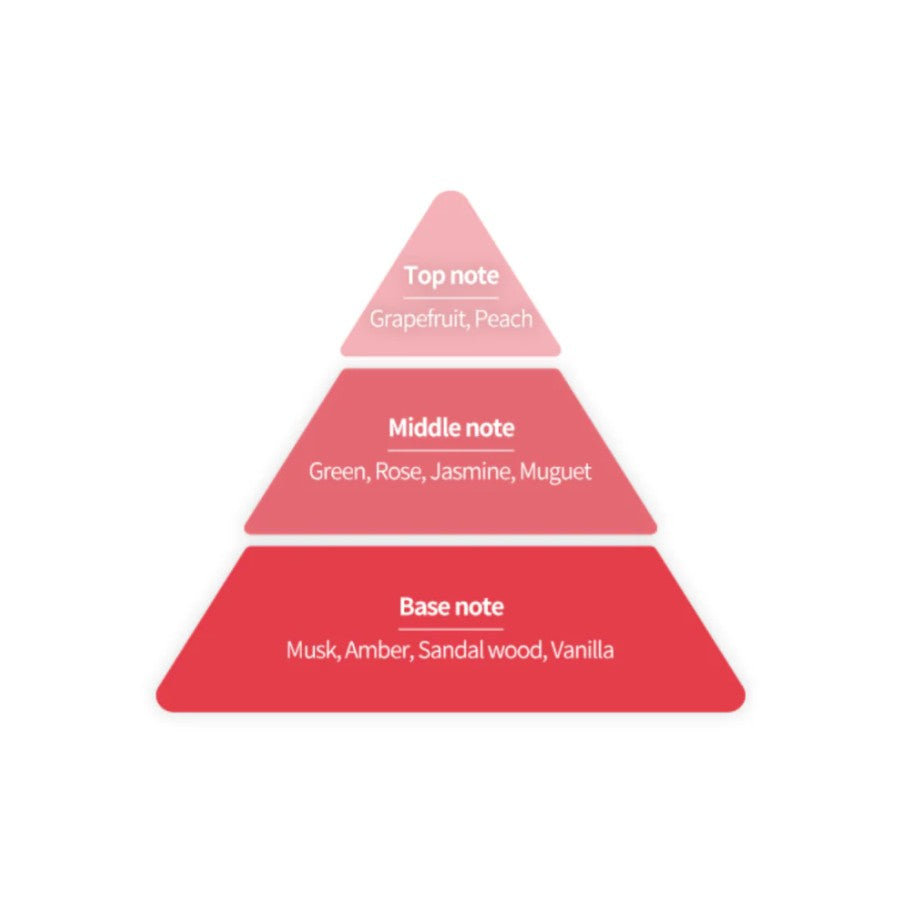 Dare Body Lotion Love Begins 500ml