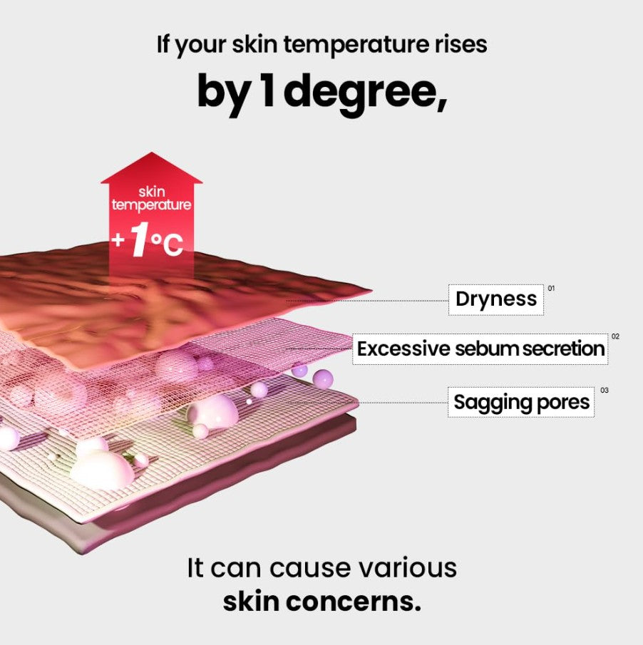 Dual Cooling Master, Korean Tighten Pores and Cooling Massage Stick