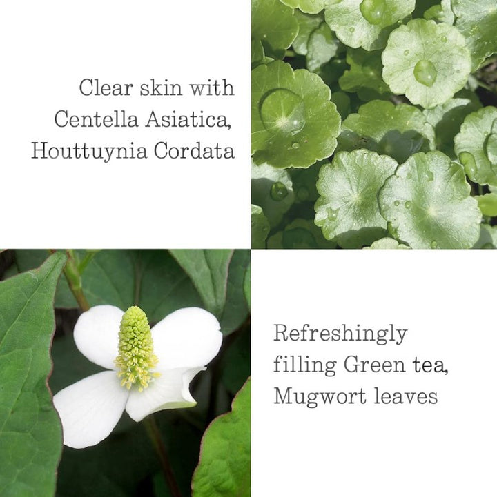 Moisture Soothing Sun Cream SPF 50 2.53 fl. oz. / 75ml