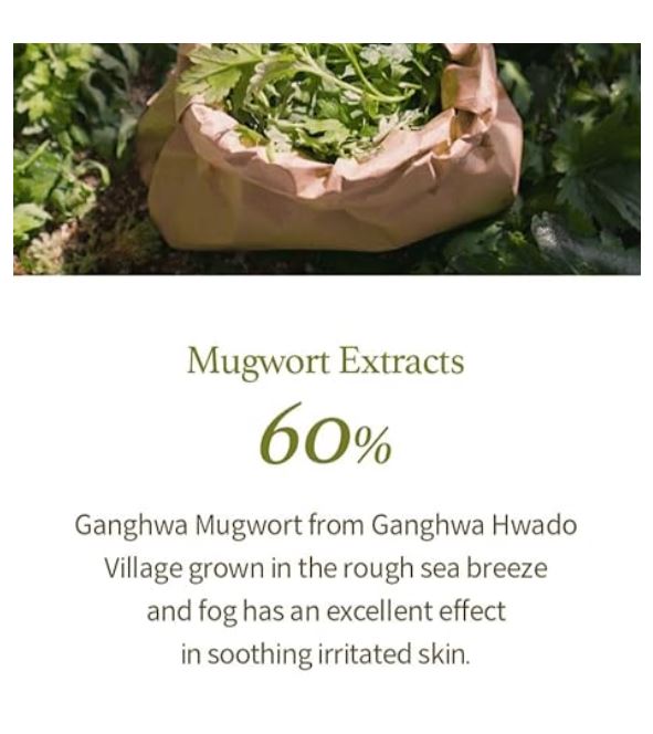 Mugwort Gel Cleanser 150ml / 5.07 fl oz