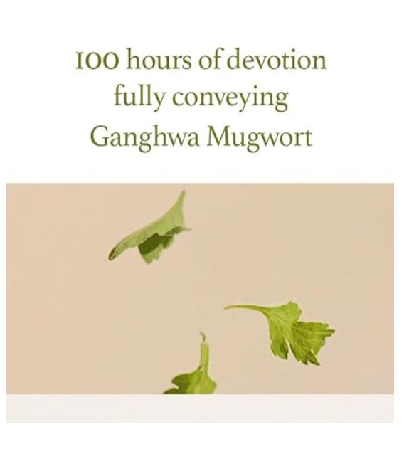 Mugwort Gel Cleanser 150ml / 5.07 fl oz