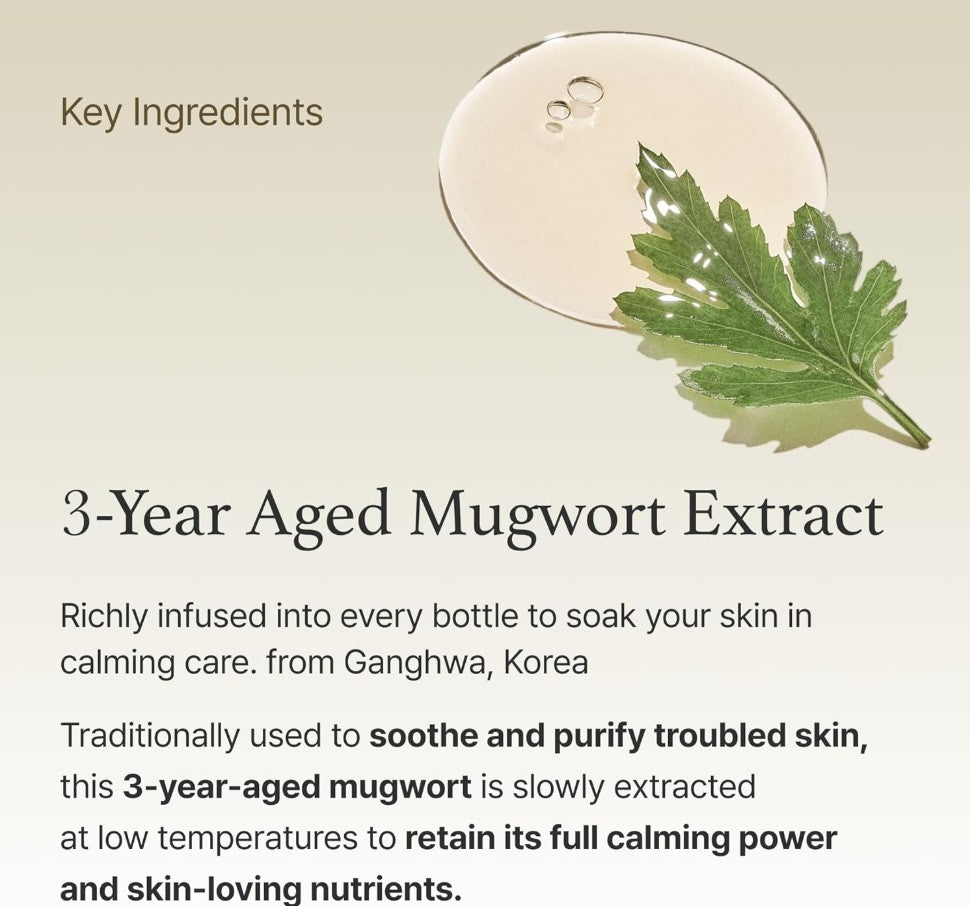 Mugwort Essence 5.4 fl. oz. / 160ml
