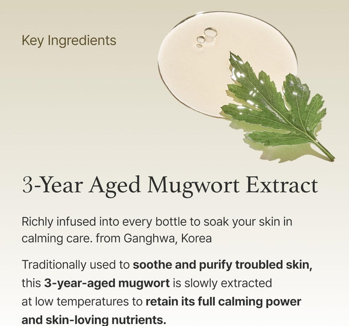 Mugwort Essence 5.4 fl. oz. / 160ml