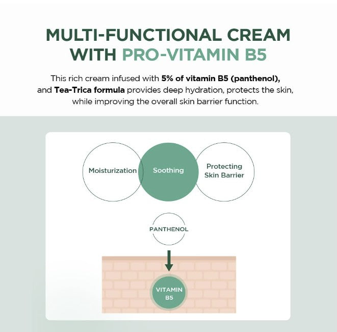 Madagascar Centella Tea-trica B5 Cream 75ml / 2.53 fl. oz.