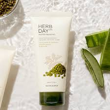 Herb Day 365 Master Blending Cleansing Foam Mung Bean & Mugwart Face Wash