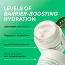 Innisfree Green Tea Seed Hyaluronic Acid Cream 50ml / 1.69 fl. oz.