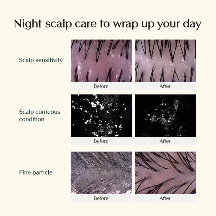 Treecell Night Collagen Shampoo 360ml