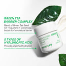 Innisfree Green Tea Seed Hyaluronic Acid Cream 50ml / 1.69 fl. oz.