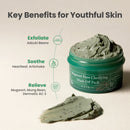 Mugwort Pore Clarifying Wash-Off Pack 100ml