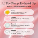 Honey Glazed Collagen Lip Mask 15g