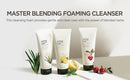The face shop Herb Day 365 Master Blending Cleansing Foam Mung Bean & Mugwart Face Wash