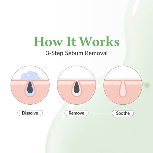 Premium Quick Step Sebum Cleanser 100ml / 3.38 fl. oz.