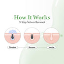 Premium Quick Step Sebum Cleanser 100ml / 3.38 fl. oz.