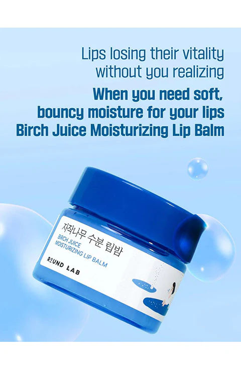 Round Lab Birch Juice Moisturizing Lip Balm 20ml with Brush Set