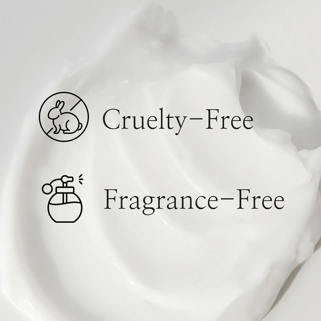 Beauty of Joseon Dynasty Cream 50ml / 1.69 fl. oz.