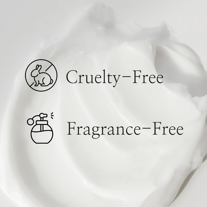 Beauty of Joseon Dynasty Cream 50ml / 1.69 fl. oz.