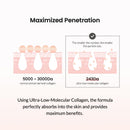 Pore Tightening Collagen Ampoule 1.69 fl. oz / 50ml