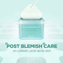 Mediheal Madecassoside BLEMISH PAD DAY&NIGHT 100 Pads