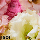 ISOI Blemish Care Up Serum 15ml / 0.5 fl. oz.