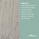 Isntree Mugwort Calming Clay Mask 100ml / 3.38 fl.oz