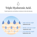 Mixsoon Glacier Water Hyaluronic Acid Serum 10.14 fl.oz / 300ml
