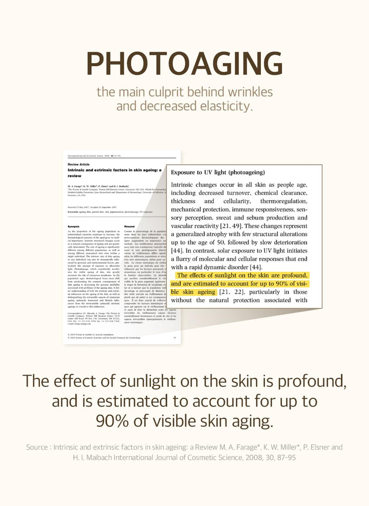Bean Sunscreen SPF 50 1.69 Fl. Oz. / 50ml