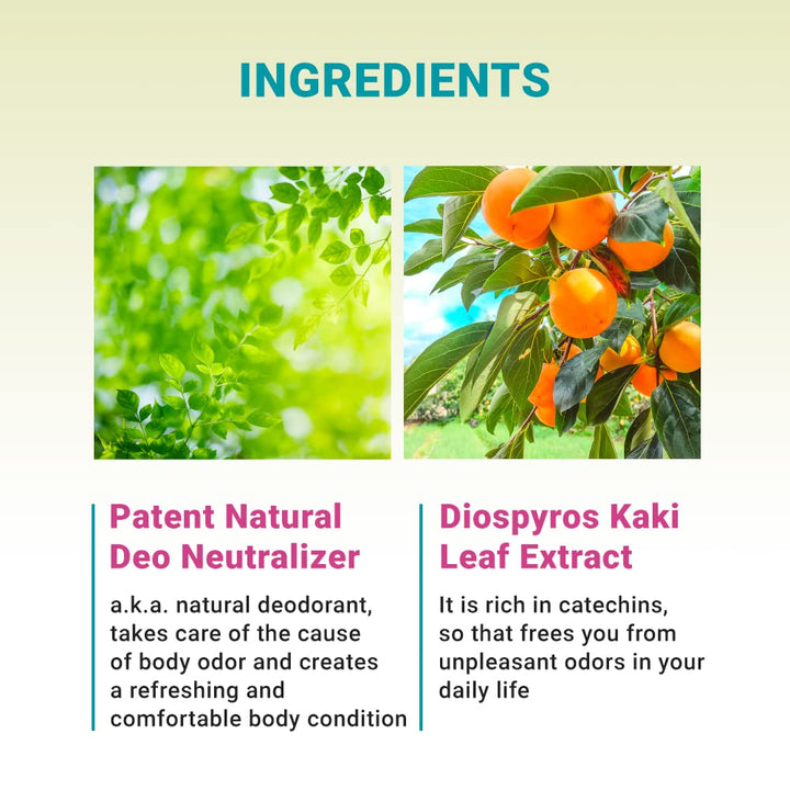 Daily Fresh Moisture Body Lotion 400ml