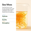 7.325 Azelaic Acid Sea Moss Serum 30ml
