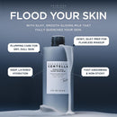 Madagascar Centella Hyalu Teca Glass Skin Milk 210ml