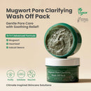 Mugwort Pore Clarifying Wash-Off Pack 100ml