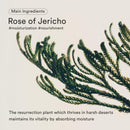 Jericho Rose Bifida Serum 50ml