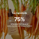 Skinfood Carrot Carotene Moist Effector 52ml