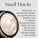 Black Snail All in One Cream 2.53 fl. oz / 75ml