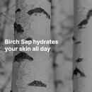 Round Lab Birch Juice Moisturizing Sunscreen SPF 45+ / PA++++ 50ml / 1.69 fl. oz.