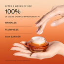 Sulwhasoo Concentrated Ginseng Rejuvenating Set 2