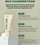 SEOUL 1988 Cleansing Foam : Pine Cica 1% + Probiotics 150ml / 5.07 fl. oz.