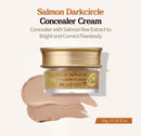 Skinfood Salmon Darkcircle Concealer Cream