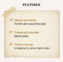 Skinfood Salmon Darkcircle Concealer Cream