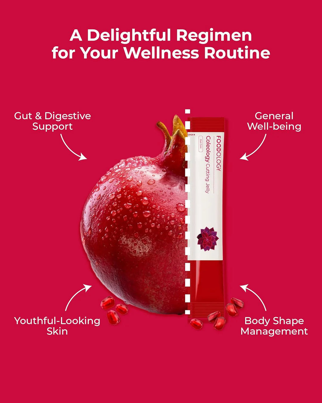 Foodology Coleology Cutting Jelly (10 pouch)