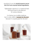 Numbuzin No.8 Glossy Essence Serum 50ml / 1.69 fl. oz.